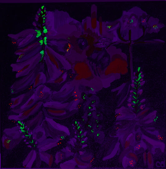 Queen Bee (Feed The Bees Series)